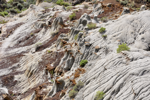 Montana's Makoshika State Park